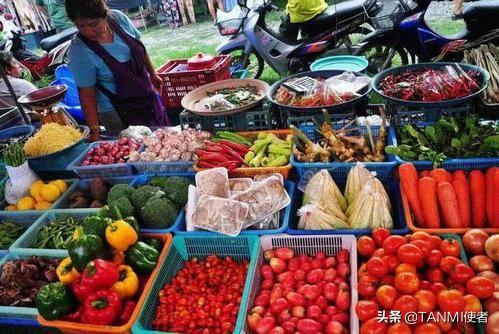 为何泰国人很少自己做饭？看到当地的菜市场才明白，都不想回国了