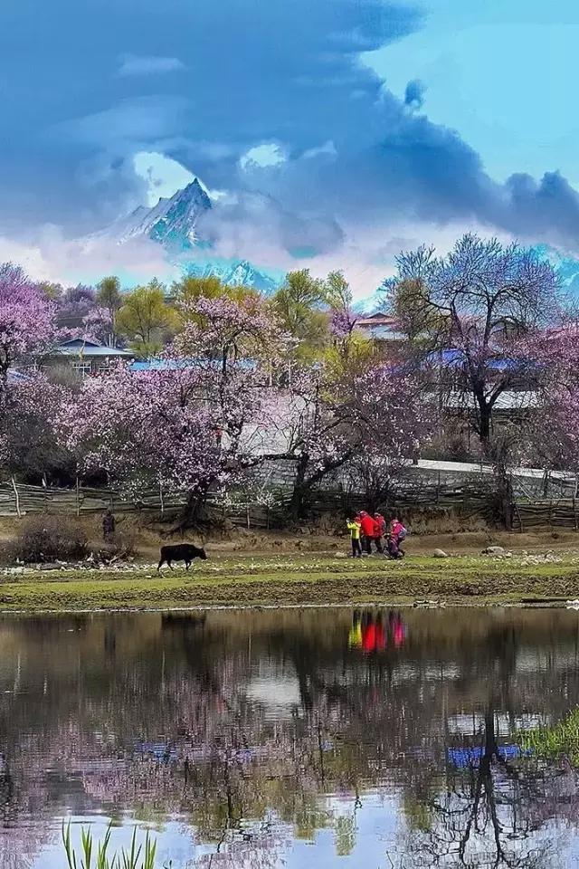 中国唯一不收费高速公路，5小时能看遍世间最美风景