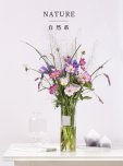 Flowerplus花加：引领新一代女性日常消费潮流