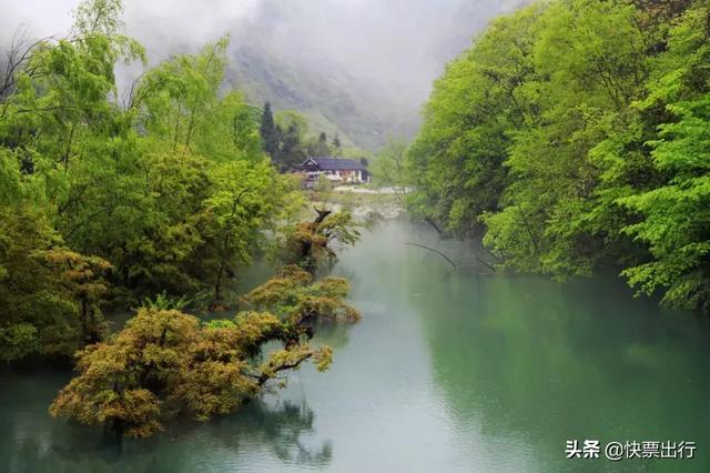 不输亚丁，媲美九寨沟！这个未被开荒的仙境，美到空气都凝固