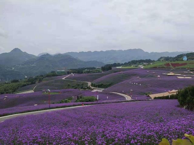 八月,穿越那片花海那湾水