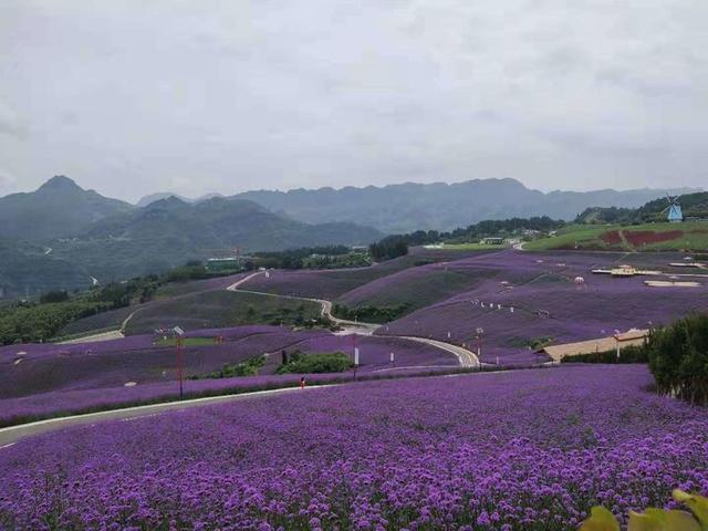 八月，穿越那片花海那湾水