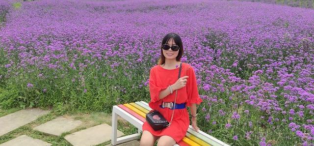 八月,穿越那片花海那湾水